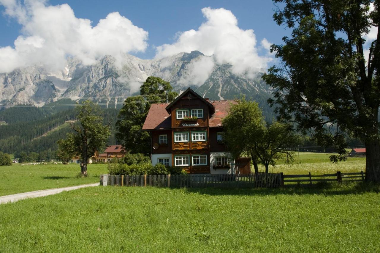 Appartements Wieseneck - Ramsau Am Dachstein - Inklusive Sommercard ! Ramsau am Dachstein Zewnętrze zdjęcie