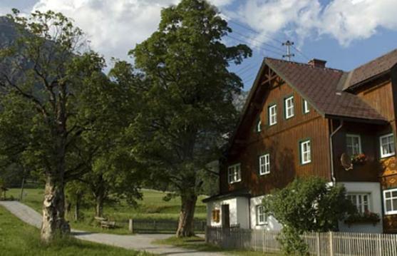 Appartements Wieseneck - Ramsau Am Dachstein - Inklusive Sommercard ! Ramsau am Dachstein Zewnętrze zdjęcie