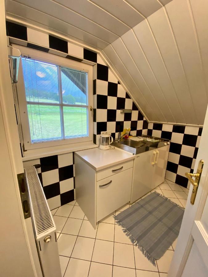 Appartements Wieseneck - Ramsau Am Dachstein - Inklusive Sommercard ! Ramsau am Dachstein Zewnętrze zdjęcie