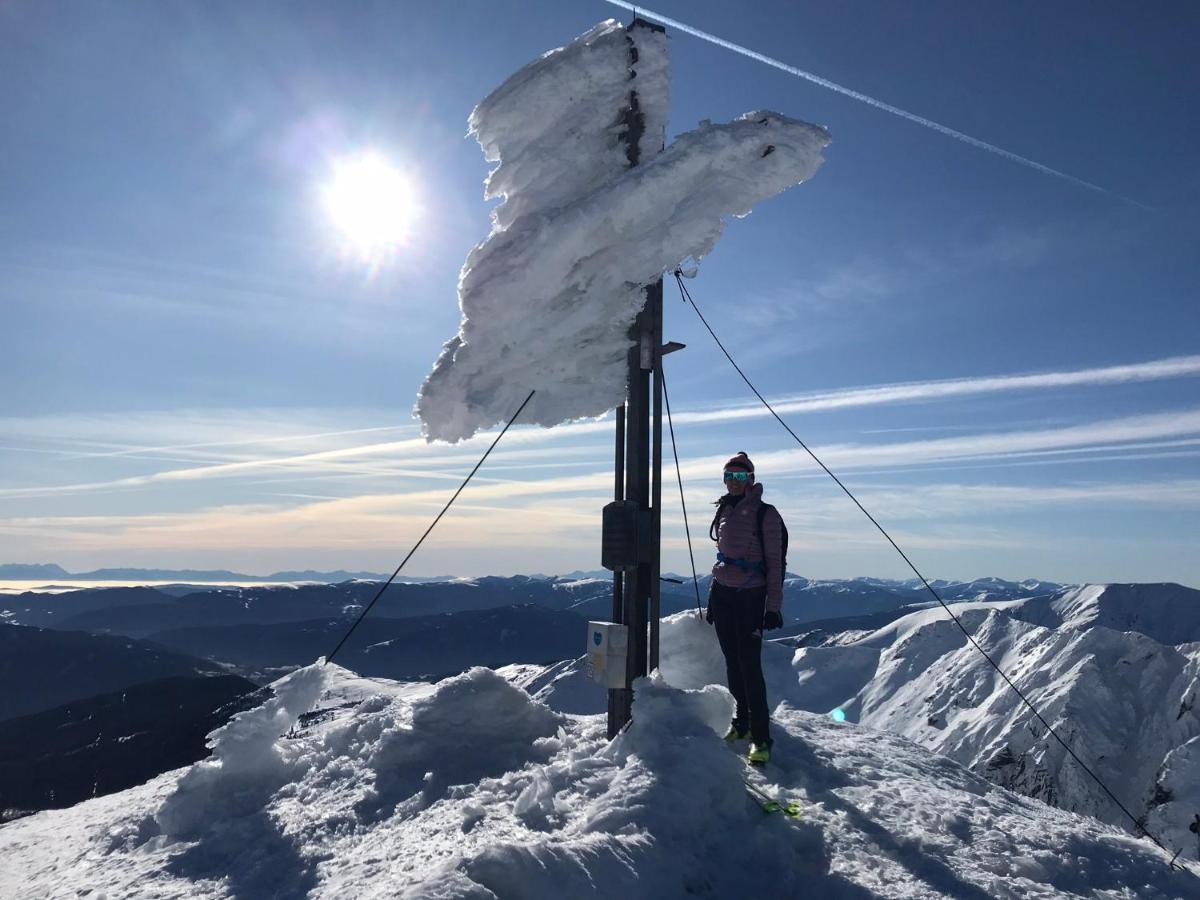 Appartements Wieseneck - Ramsau Am Dachstein - Inklusive Sommercard ! Ramsau am Dachstein Zewnętrze zdjęcie