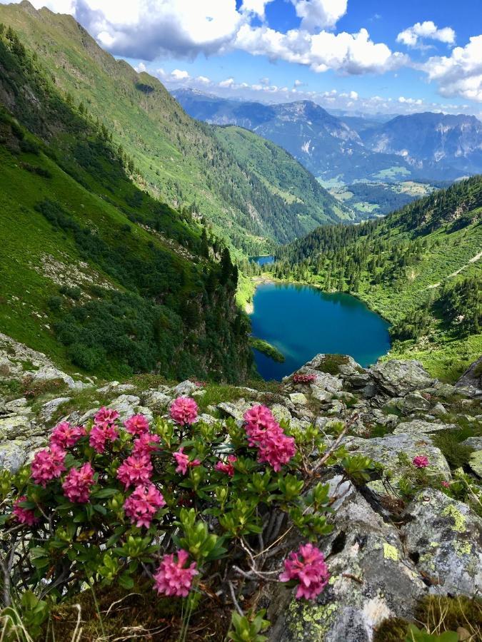 Appartements Wieseneck - Ramsau Am Dachstein - Inklusive Sommercard ! Ramsau am Dachstein Zewnętrze zdjęcie
